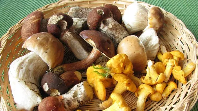 Vernet-la-Varenne : Fête des champignons