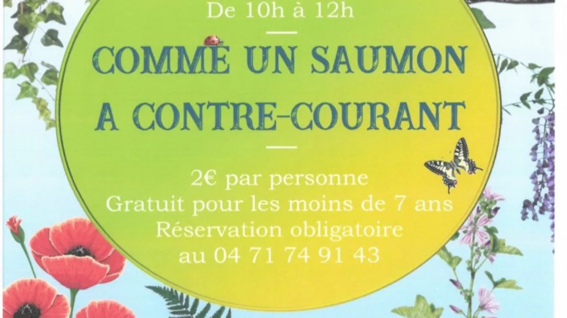 Brioude : animations estivales Aquarium – Maison du Saumon