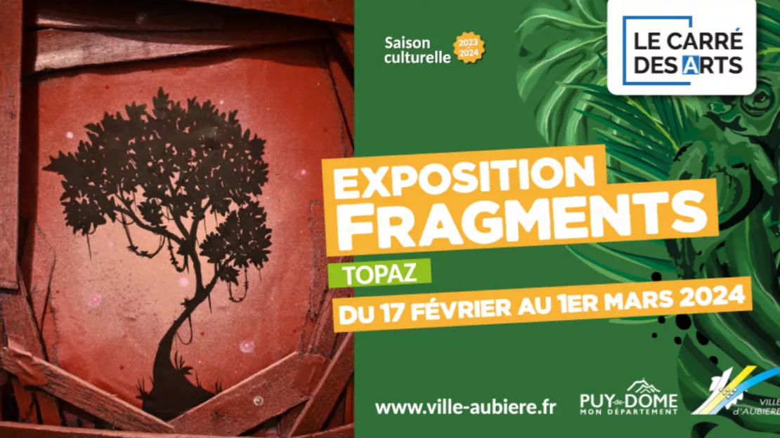 Exposition "Fragments" de TOPAZ | Carré des Arts, Aubière
