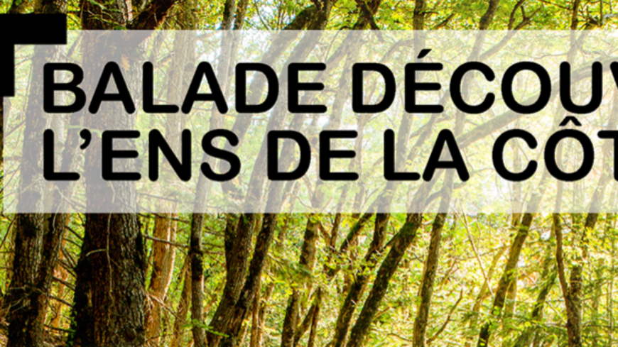 Volvic : Balade sur l'ENS de la côte Verse : Pêche à la mare Volvic : Balade sur l'ENS de la côte Verse : Pêche à la mare