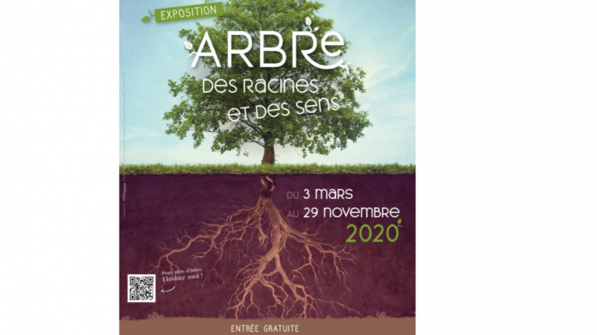 Issoire - Arbre, des racines et des sens Issoire - Arbre, des racines et des sens
