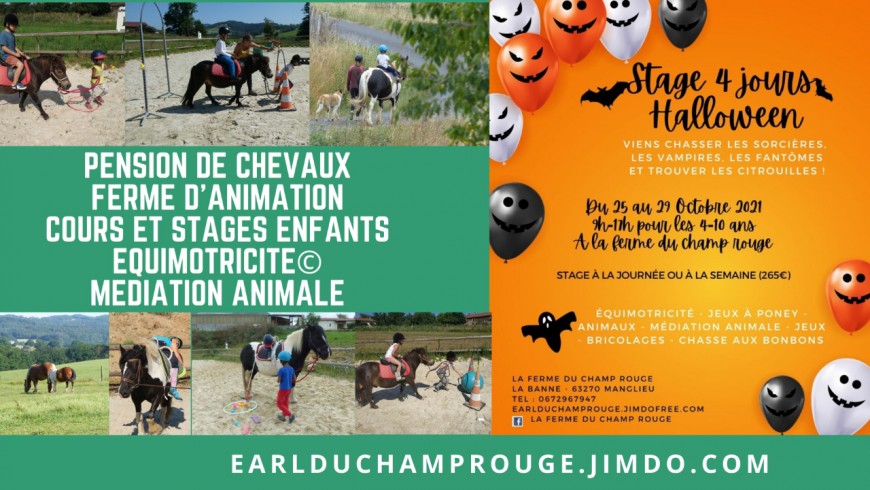 Stage enfant à la ferme Stage enfant à la ferme