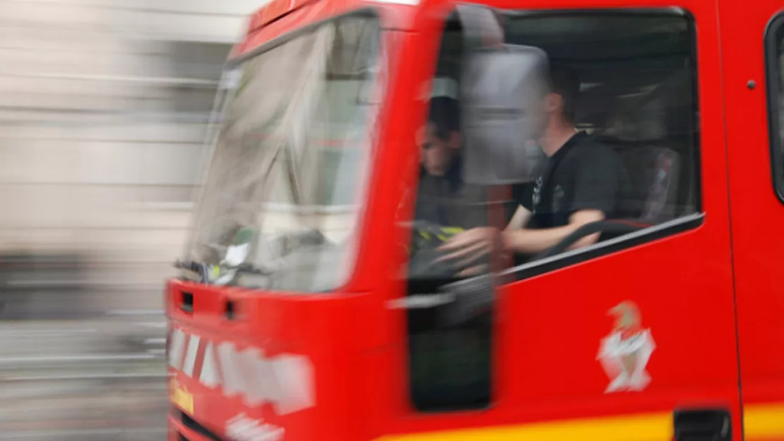 Auvergne-Rhône-Alpes - Deux enfants de 7 et 4 ans percutés par un véhicule