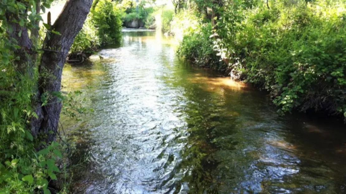 Environnement : La rivière du Bédat polluée par des hydrocarbures