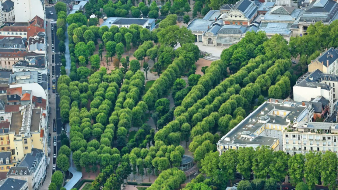 "Notre priorité c'est de sauver ces arbres !" : l'abattage des arbres au Parc des Sources fait polémique à Vichy