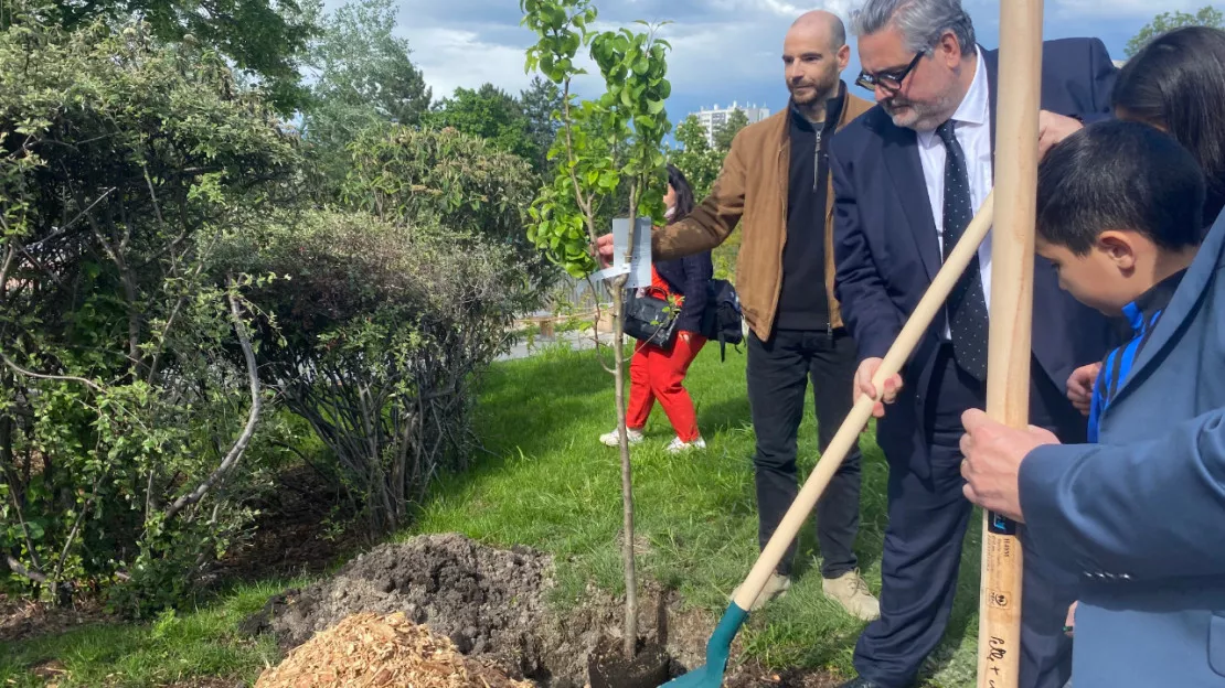 Plus d’arbres, des jeux modernes : l’école Philippe Arbos à Clermont-Ferrand fait peau neuve