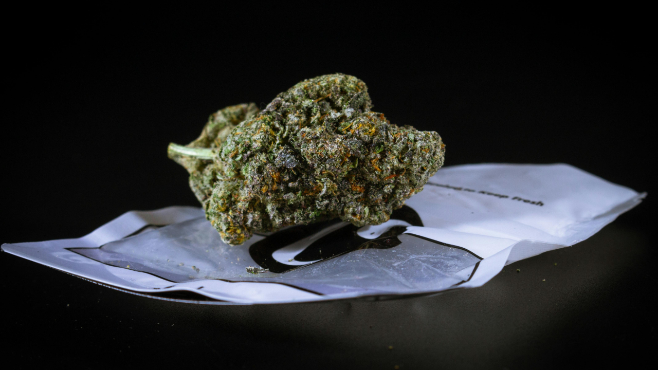 Châtel-Guyon (63) : deux individus arrêtés avec plus d'un kilo de résine de canabis Châtel-Guyon (63) : deux individus arrêtés avec plus d'un kilo de résine de canabis