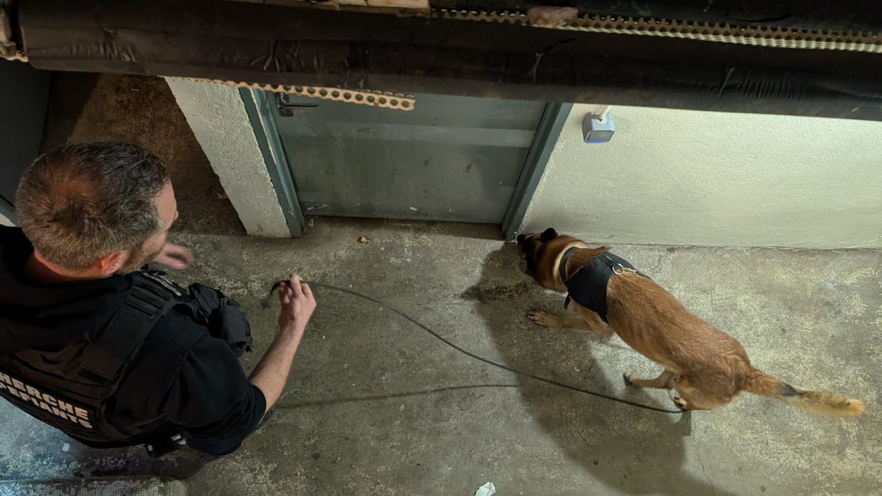 Cocaïne, herbe, cannabis... A Clermont-Ferrand, un jeune homme interpellé pour détention de stupéfiants