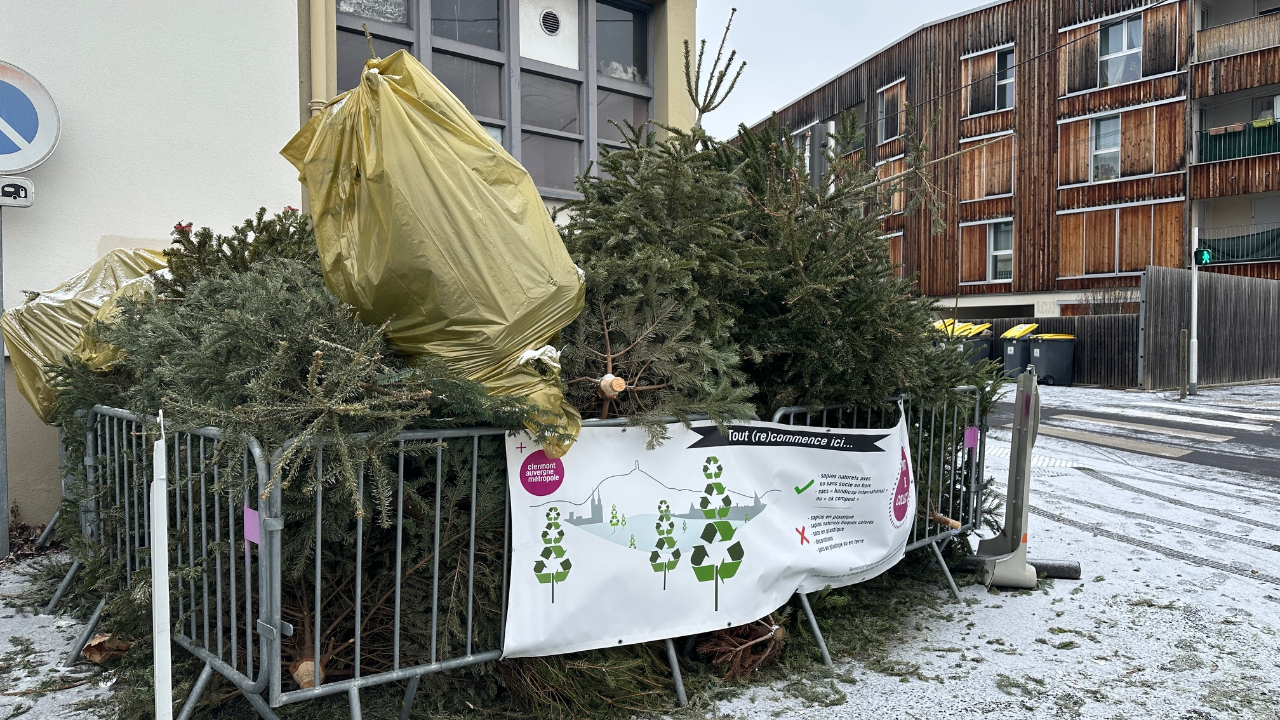 Comment se débarrasser de son sapin à Clermont-Ferrand ? Comment se débarrasser de son sapin à Clermont-Ferrand ?