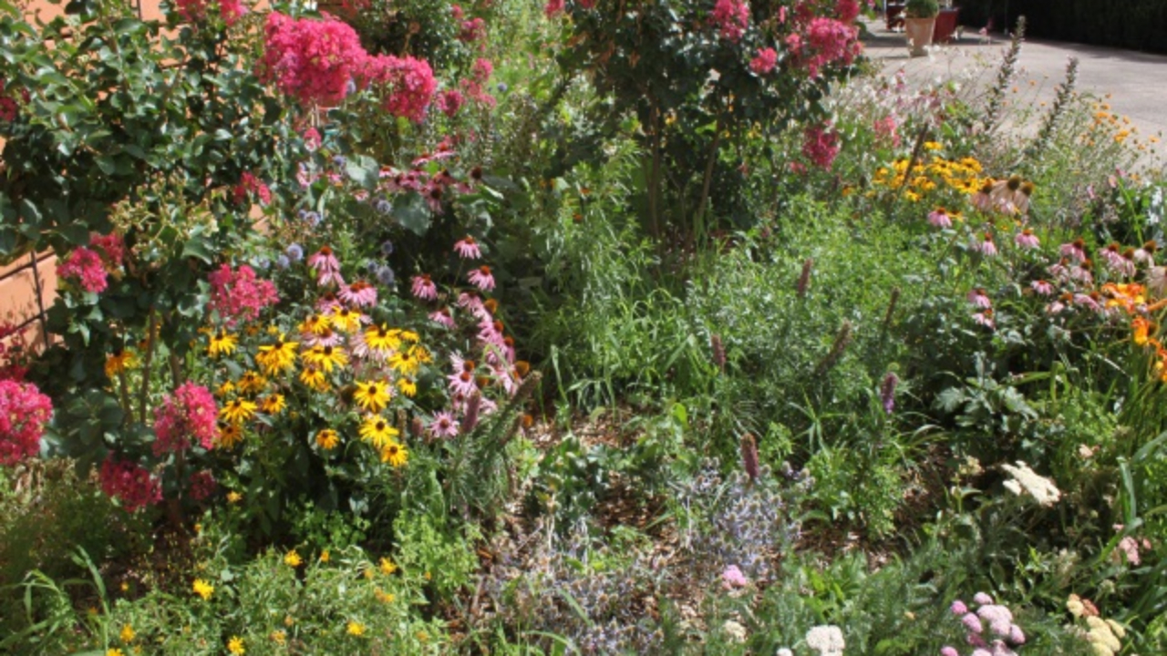 Concours "Mon jardin à Clermont" : valoriser le jardinage durable et la biodiversité en milieu urbain Concours "Mon jardin à Clermont" : valoriser le jardinage durable et la biodiversité en milieu urbain