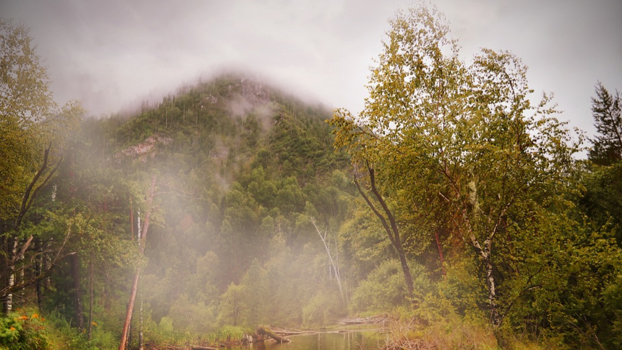 Coupure d'électricité, chutes d'arbres... Le passage remarqué de la tempête Domingos en Auvergne Coupure d'électricité, chutes d'arbres... Le passage remarqué de la tempête Domingos en Auvergne