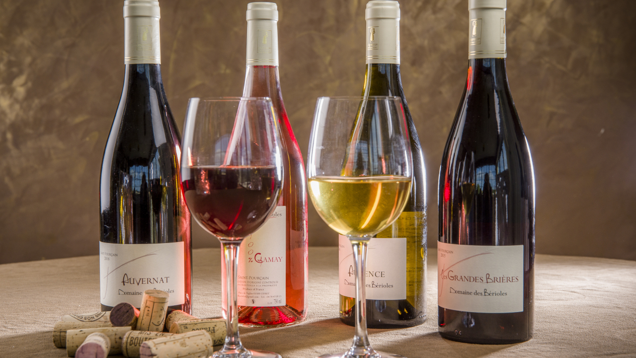 Le festival viticole et gourmand sans modération à Saint-Pourçain-sur-Sioule ! Le festival viticole et gourmand sans modération à Saint-Pourçain-sur-Sioule !