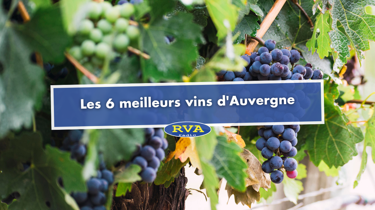 Les 6 meilleurs vins d'Auvergne Les 6 meilleurs vins d'Auvergne