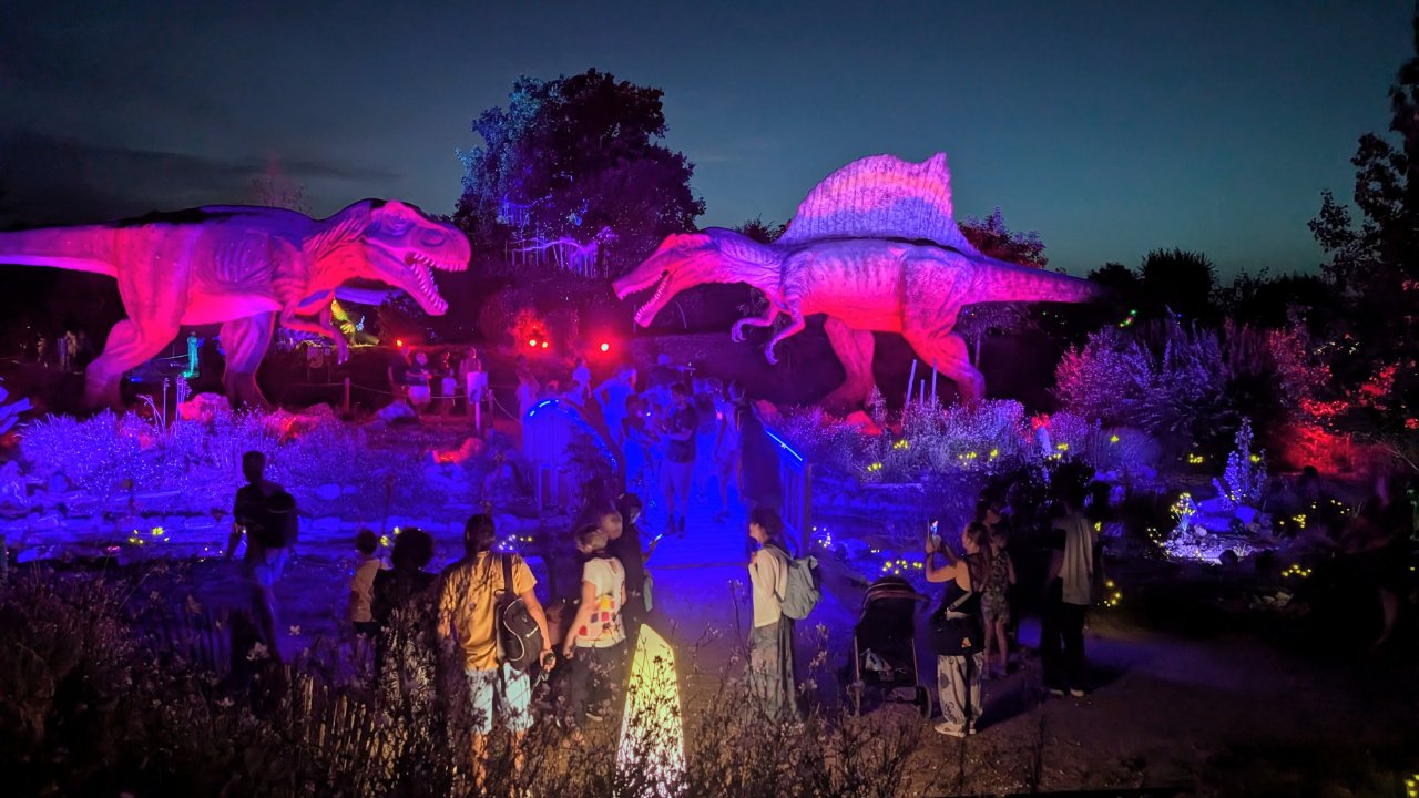 Paléopolis bat son record de fréquentation avec 1 235 visiteurs pour Festi’Pal Paléopolis bat son record de fréquentation avec 1 235 visiteurs pour Festi’Pal