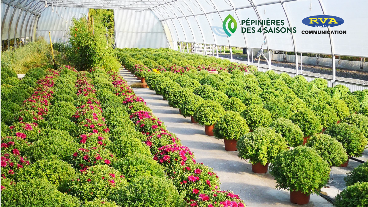 Pépinières des 4 saisons : tout pour votre jardin ! Pépinières des 4 saisons : tout pour votre jardin !