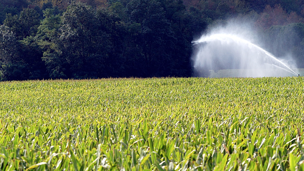 Puy-de-Dôme : le préfet renforce les mesures de restriction d’eau Puy-de-Dôme : le préfet renforce les mesures de restriction d’eau