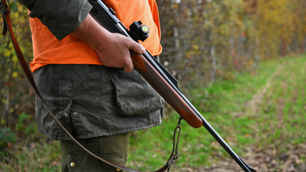 Puy-de-Dôme : Un accident de chasse survient lors d’une battue aux sangliers Puy-de-Dôme : Un accident de chasse survient lors d’une battue aux sangliers