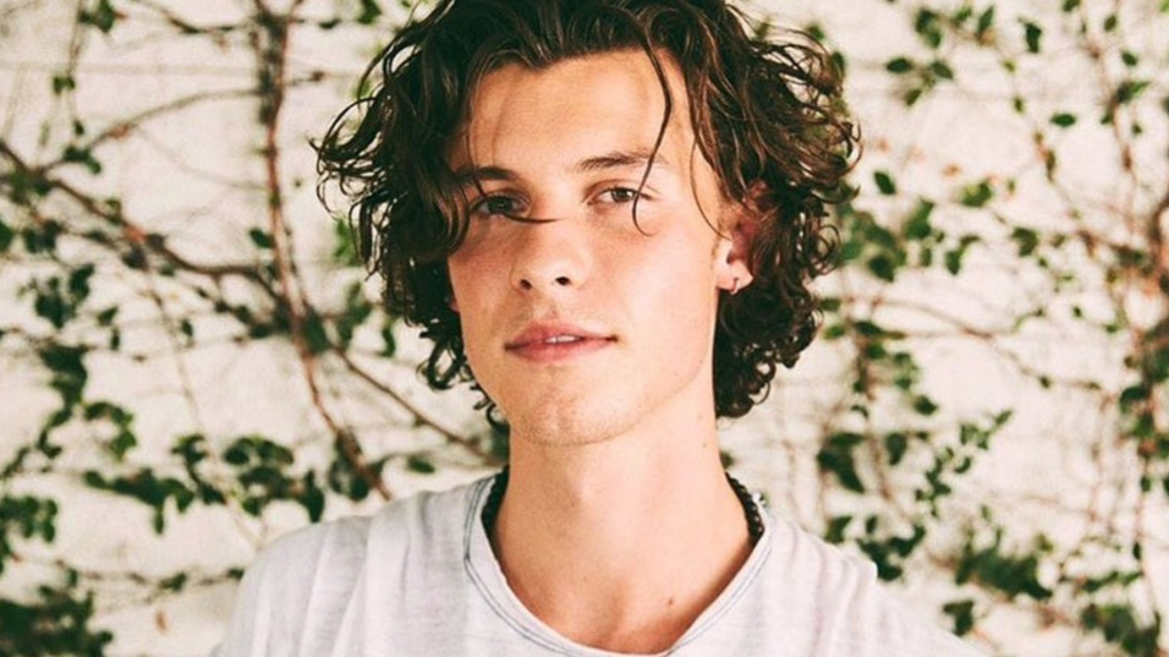Shawn Mendes : pourquoi cette polémique autour de son nouveau titre "What The Hell Are We Dying For ?"