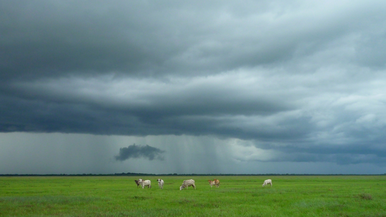 Tempête Benjamin : des rafales à 170 km/h mesurées dans le Puy-de-Dôme Tempête Benjamin : des rafales à 170 km/h mesurées dans le Puy-de-Dôme