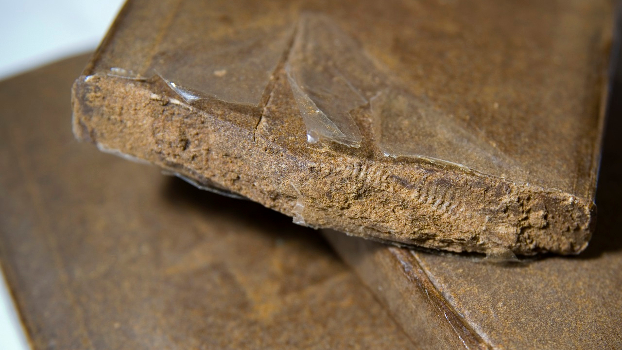 Trafic à Clermont-Ferrand : trois ados pris par la BAC avec plus de 100 grammes de drogue
