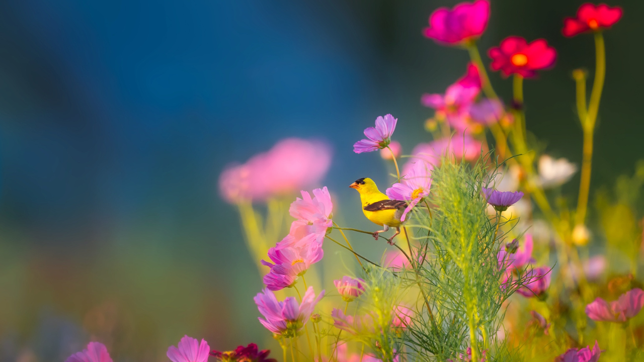 Vacances scolaires : les activités printanières à ne pas louper en Auvergne ! Vacances scolaires : les activités printanières à ne pas louper en Auvergne !