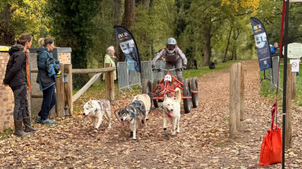 &Agrave; Issoire, une course de chiens de tra&icirc;neau sur terre rassemble des concurrents de toute l&rsquo;Europe