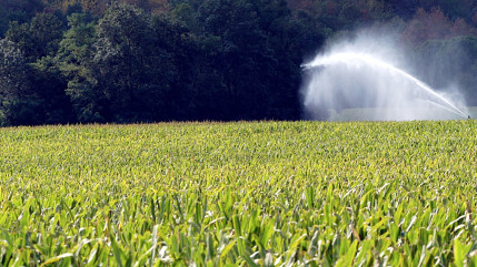 Arrosage, piscines, lavage des voitures&hellip; de nouvelles restrictions d&rsquo;eau entrent en vigueur dans le Puy-de-D&ocirc;me