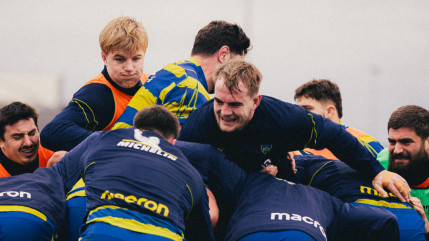 Champions Cup : pourquoi l'ASM Clermont devra être vigilante à l'arbitrage ?