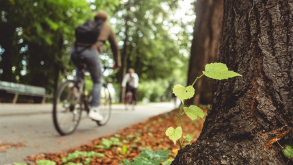 Clermont-Ferrand dans le top des villes avec un mode de vie durable