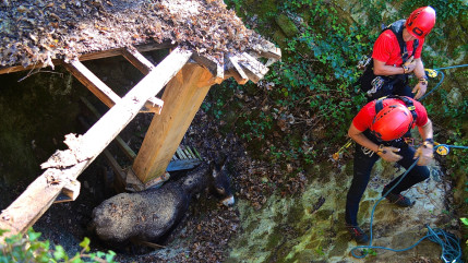 Dans l'Allier, le sauvetage spectaculaire d'un âne coincé dans un trou (PHOTOS) Dans l'Allier, le sauvetage spectaculaire d'un âne coincé dans un trou (PHOTOS)