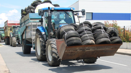 Dermatose nodulaire : des agriculteurs en colère attendus près de Clermont-Ferrand
