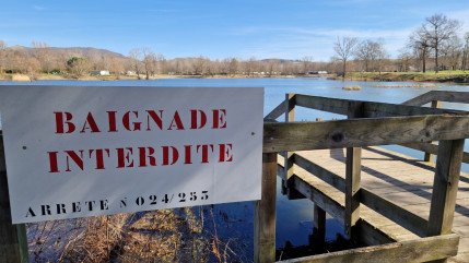 Auvergne : Malgré une bonne qualité de l'eau, le nombre de noyades a augmenté en 2024 Auvergne : Malgré une bonne qualité de l'eau, le nombre de noyades a augmenté en 2024
