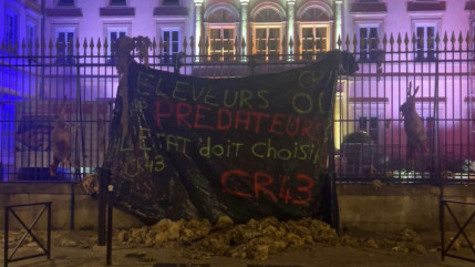 Haute-Loire : face aux attaques de loup, les &eacute;leveurs accrochent des brebis aux grilles de la pr&eacute;fecture