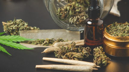 Issoire : du CBD jusqu&rsquo;&agrave; dix fois trop charg&eacute; en THC, le commer&ccedil;ant condamn&eacute; &agrave; 15 mois de prison
