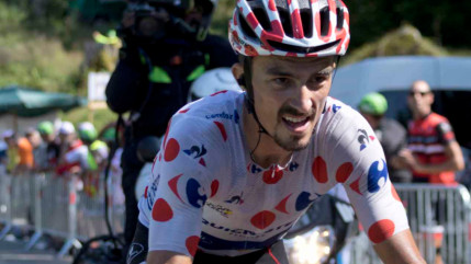 Julian Alaphilippe prend sa retraite &agrave; 34 ans, le Tour de France restera sa derni&egrave;re course