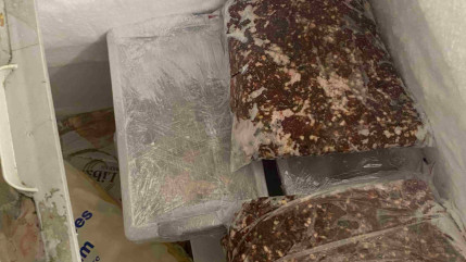 L'hygiène y était déplorable : un kebab de Clermont-Ferrand fermé immédiatement par la préfecture L'hygiène y était déplorable : un kebab de Clermont-Ferrand fermé immédiatement par la préfecture