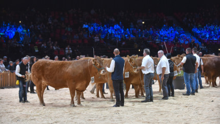 Le Sommet de l&rsquo;&Eacute;levage 2026 revient &agrave; Clermont-Ferrand avec une &eacute;dition ambitieuse