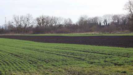 Météo : le niveau des nappes phréatiques repart à la hausse en Auvergne Météo : le niveau des nappes phréatiques repart à la hausse en Auvergne