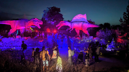 Pal&eacute;opolis bat son record de fr&eacute;quentation avec 1 235 visiteurs pour Festi&rsquo;Pal