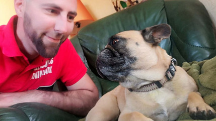 Quatre jours apr&egrave;s l'accident de Saint-Amant-Tallende, la chienne en fuite retrouve sa famille