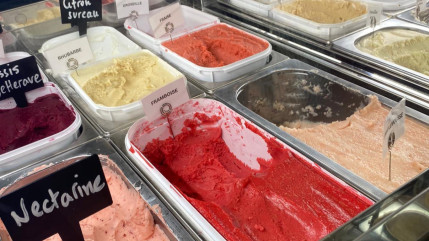 Boissons, plats et desserts, suivez nos recettes pour de la fraicheur dans votre assiette ! Boissons, plats et desserts, suivez nos recettes pour de la fraicheur dans votre assiette !