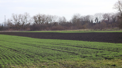 Sécheresse : 44 communes de l'Allier reconnues en état de catastrophe naturelle Sécheresse : 44 communes de l'Allier reconnues en état de catastrophe naturelle