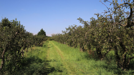 S&eacute;cheresse dans le Puy-de-D&ocirc;me : 6,6 millions d&rsquo;euros d&rsquo;all&egrave;gements fiscaux pour les agriculteurs