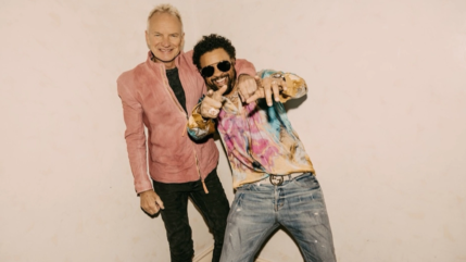 Sting et Shaggy, stars du festival "One Fine Day"