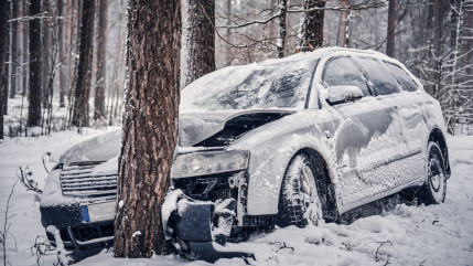 Un automobiliste meurt apr&egrave;s avoir percut&eacute; un arbre sur la RD 999
