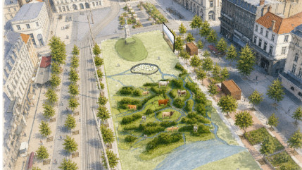 Une prairie de 3 000 m&sup2; va s&rsquo;installer place de Jaude &agrave; Clermont-Ferrand