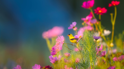 Vacances scolaires : les activités printanières à ne pas louper en Auvergne !