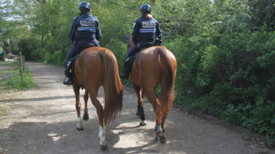 Cha&icirc;ne des Puys : la Garde r&eacute;publicaine d&eacute;ploie des patrouilles &agrave; cheval pour l&rsquo;&eacute;t&eacute;