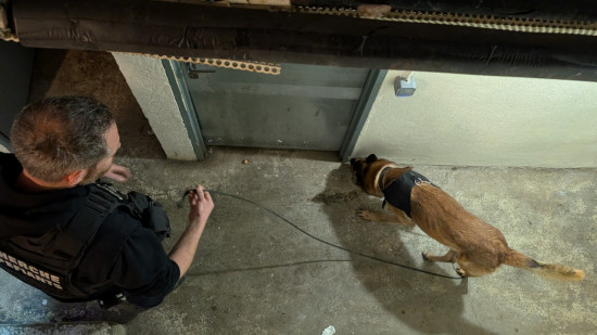 Cocaïne, herbe, cannabis... A Clermont-Ferrand, un jeune homme interpellé pour détention de stupéfiants