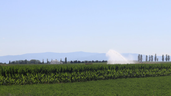 Face &agrave; la s&eacute;cheresse, l'Allier renforce les restrictions d'eau ce jeudi